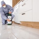 Termite exterminator treatments that are effective